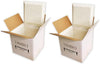 SF12A EcoFriendly Insulated Shipping Cooler, 12" x 12" x 12" (Pack of 2)(9" x 9" x 9" Inside)