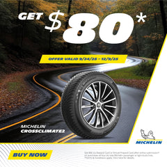 Michelin X-Ice Snow Winter 245/70R17 110T Tire